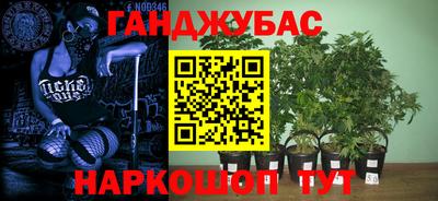 наркотики Будённовск
