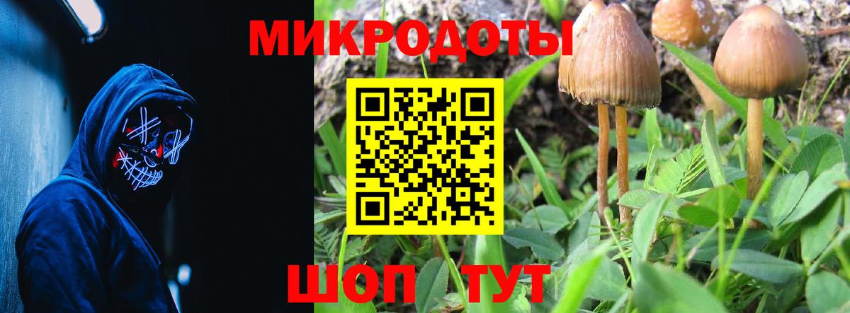 Галлюциногенные грибы мухоморы  Галлюциногенные грибы мицелий  Вход с VPN  Прокопьевск 